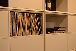 Vinyls fit perfectly - here in one of the rooms in a model 420